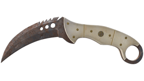 Rust Coat image
