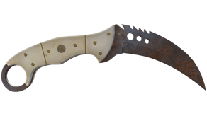 Rust Coat image