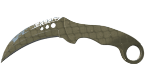 Safari Mesh image