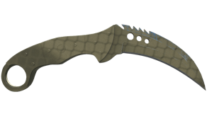 Safari Mesh image