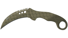Safari Mesh image