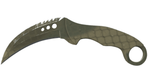 Safari Mesh image