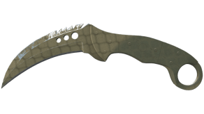 Safari Mesh image