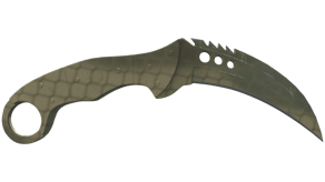 Safari Mesh image