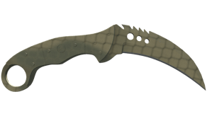 Safari Mesh image