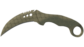 Safari Mesh image