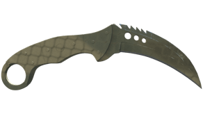 Safari Mesh image