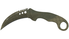 Safari Mesh image