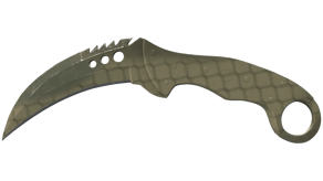 Safari Mesh image