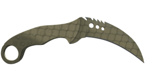 Safari Mesh image