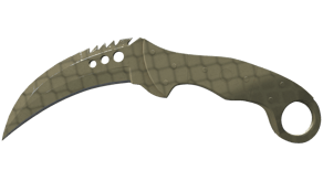 Safari Mesh image