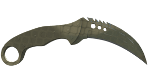 Safari Mesh image