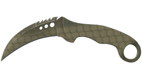 Safari Mesh image