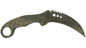 Safari Mesh image