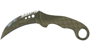 Safari Mesh image