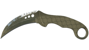 Safari Mesh image