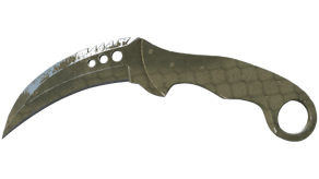 Safari Mesh image