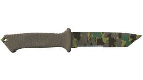 Boreal Forest image