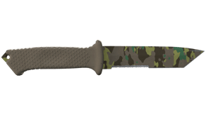Boreal Forest image