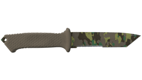 Boreal Forest image