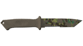 Boreal Forest image