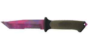 Doppler Phase 2 image