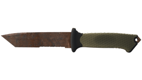 Rust Coat image