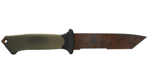 Rust Coat image