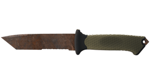 Rust Coat image