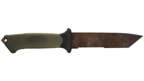 Rust Coat image