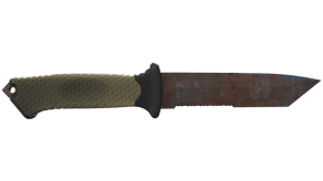 Rust Coat image