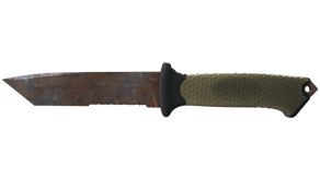 Rust Coat image