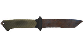 Rust Coat image