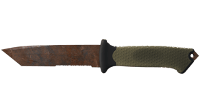 Rust Coat image