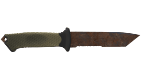 Rust Coat image