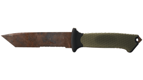 Rust Coat image