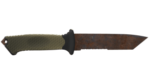 Rust Coat image