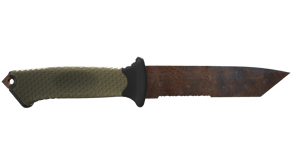 Rust Coat image