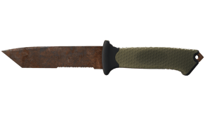 Rust Coat image