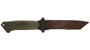 Rust Coat image