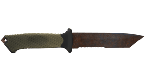 Rust Coat image