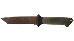 Rust Coat image