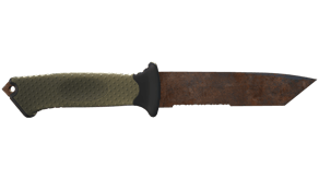 Rust Coat image