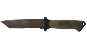 Rust Coat image