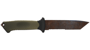 Rust Coat image