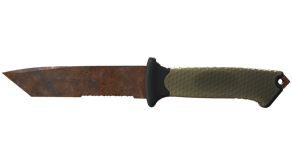 Rust Coat image