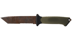 Rust Coat image
