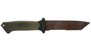 Rust Coat image