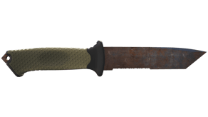 Rust Coat image