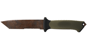 Rust Coat image